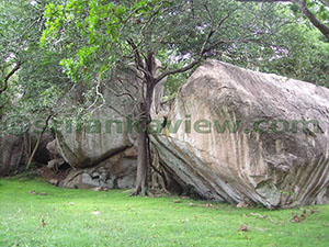 Hatthikucchi Vihara

